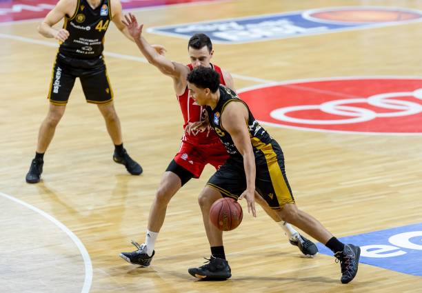 这篇文章的 这篇文章的