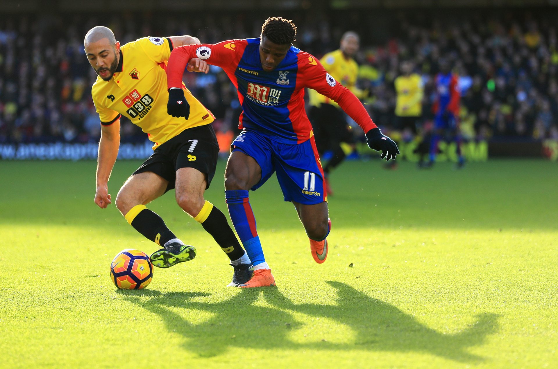 但加克波显 但加克波显